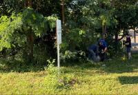 Nailton Alves | Canal Diário