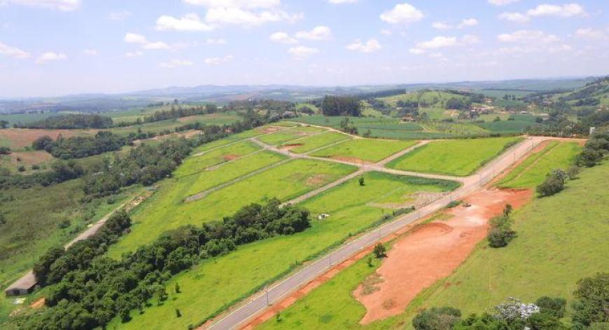 Ilustração/ Reprodução 