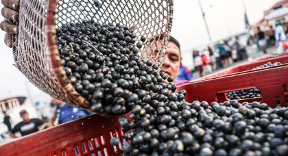 Marcelo Camargo/Agência Brasil - 13.10.2025
