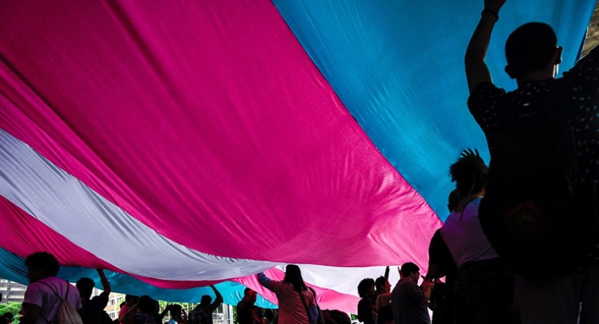 Reprodução/sinpsi-sp 