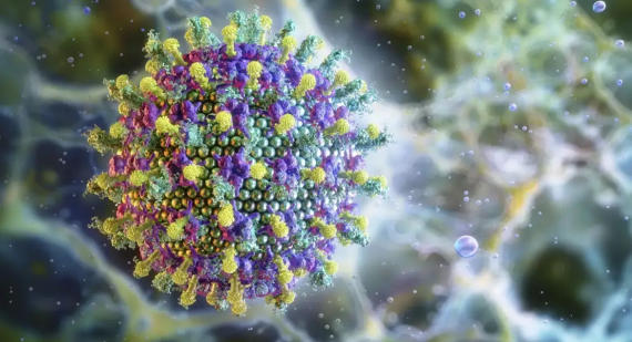 Ruslanas Baranauskas/Divulgação 