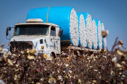 Michel Alvim - SECOM MT