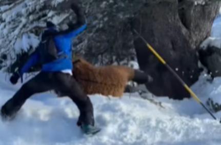 Reprodução\Instagram\@mattmooney_