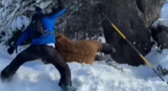 Reprodução\Instagram\@mattmooney_