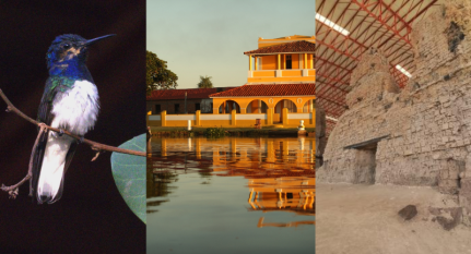 Reprodução/Montagem 