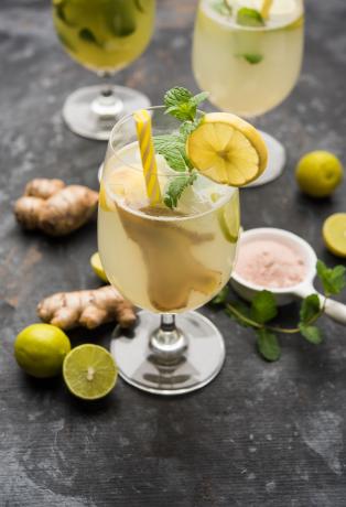 drinks limao com hortela