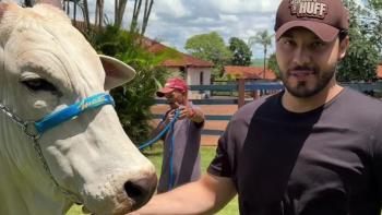 murilo huff e vaca milion&aacute;ria