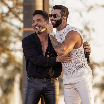 site do Weasley Safadão