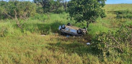 Reprodução assessoria