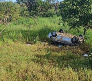 Reprodução assessoria