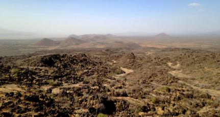 Cortesia do Prof. Thomas Gernon/Universidade de So