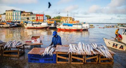 NAYARA JINKNSS/GREENPEACE