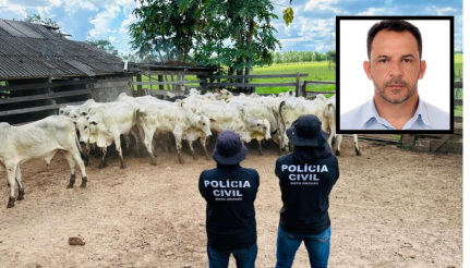 PJC/Câmara Municipal de Nova Xavantina