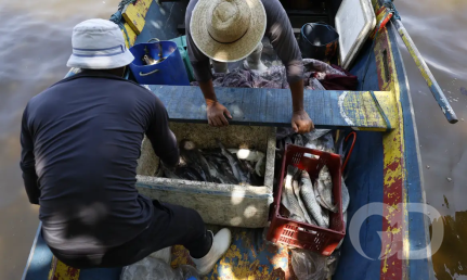FERNANDO FRAZÃO/AGÊNCIA BRASIL