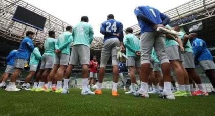 Cesar Greco/Palmeiras