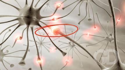 Science Photo Library via Canva