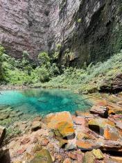 Est&acirc;ncia Favo de Mel