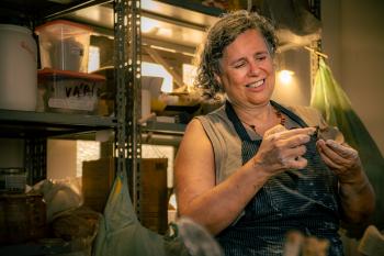 exposi&ccedil;&atilde;o Casulos