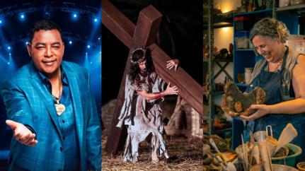 MONTAGEM/REPRODUÇÃO