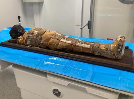 Marzena Ożarek-Szilke/Universidade de Wrocław 