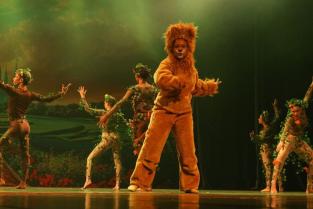 pe&ccedil;as de costura