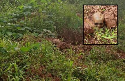 Reprodução/Araguaia Notícia