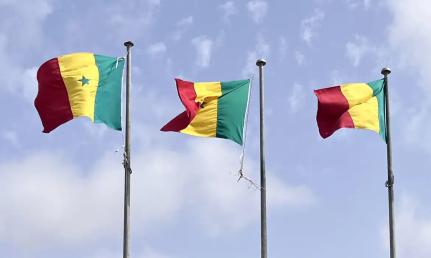 © Bruno de Freitas Moura/Divulgação