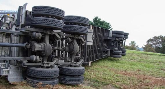 © macdeedle/Pixabay