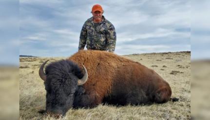 Divulgação/wagonhoundoutfitters