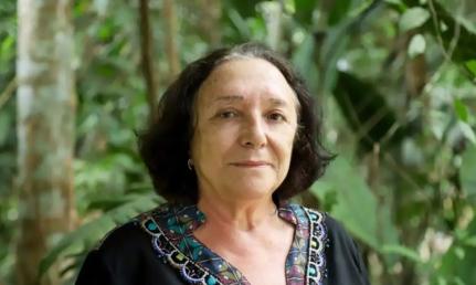 ÉRICO XAVIER/FUNDAÇÃO DE AMPARO A PESQUISA DO ESTA