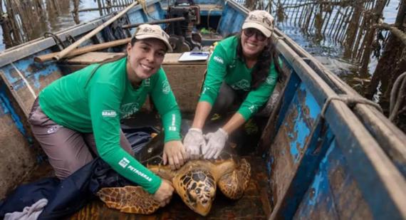  Stefan Kolumban/Divulgação