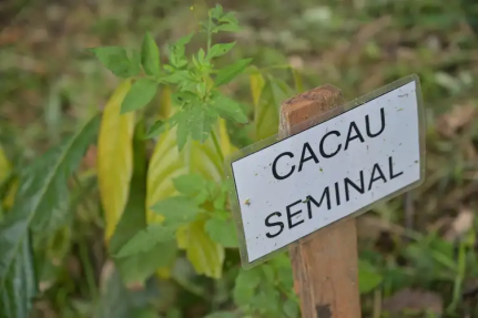 Washington Alves/Light Press