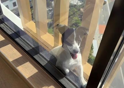 Reprodução/Instagram/7newssyd 