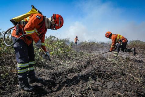 Federação destaca prevenção e orienta produtores sobre procedimentos em caso de incêndio