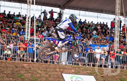 Chico Ferreira