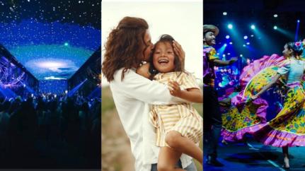 MONTAGEM/REPRODUÇÃO