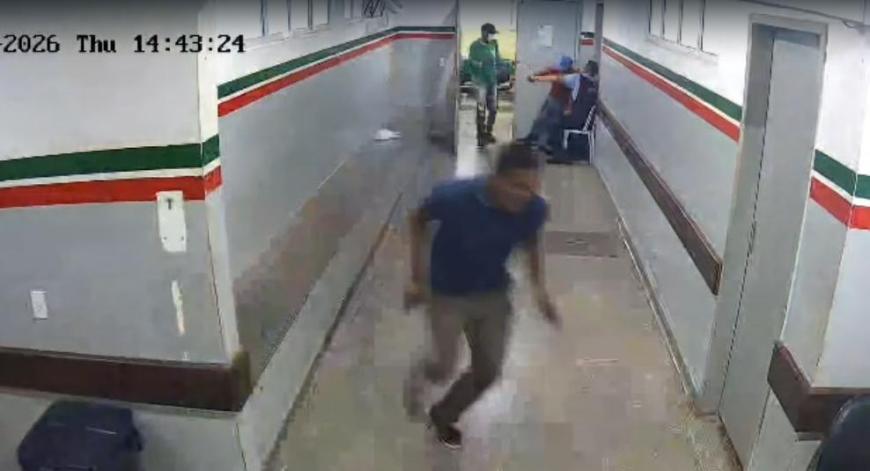 Reprodução