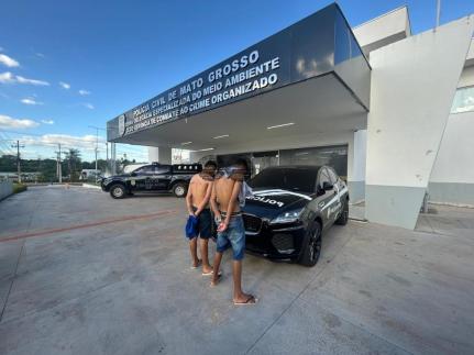 Reprodução