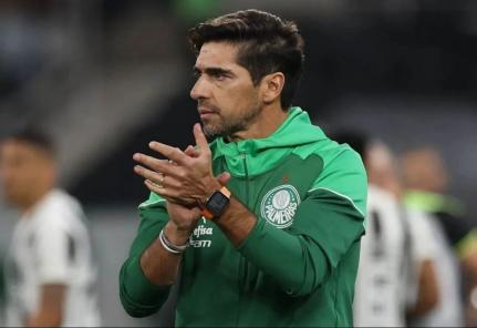 Cesar Greco/Palmeiras