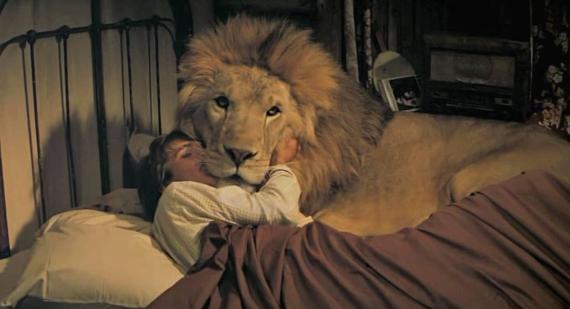 Reprodução/'Roar'
