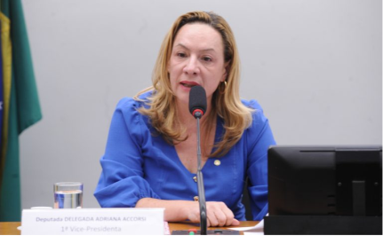 Renato Araújo / Câmara dos Deputados