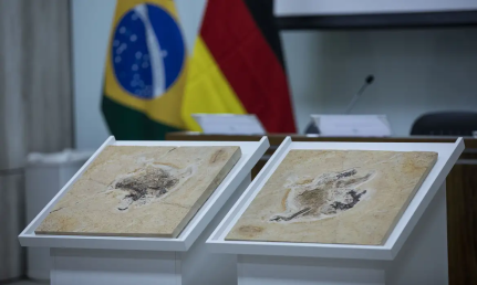 Joédson Alves / Agência Brasil