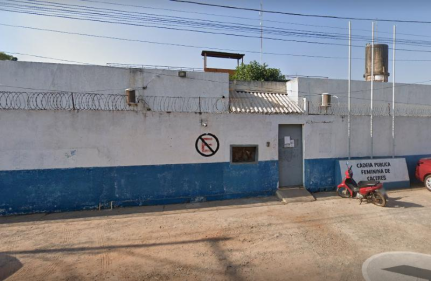 Reprodução