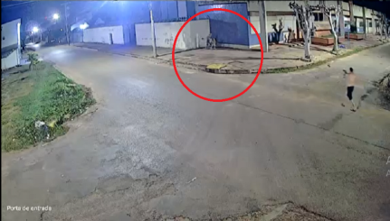 Reprodução