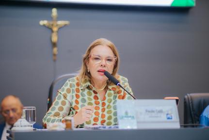 Reprodução Câmara Municipal