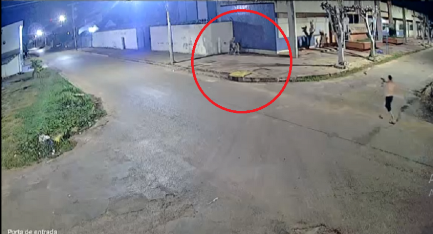 Reprodução