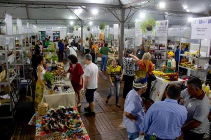  Assessoria Seaf MT