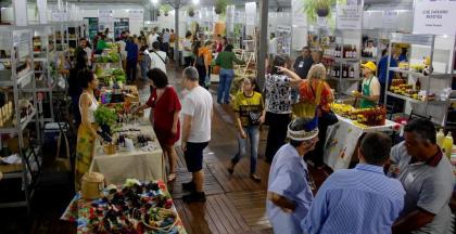  Assessoria Seaf MT