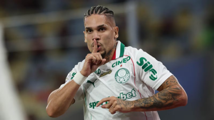 Cesar Greco/Palmeiras