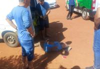 Reprodução